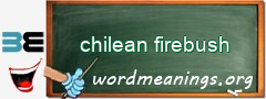 WordMeaning blackboard for chilean firebush